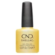 Obraz 1/4 -CND Shellac Char-Truth #466