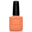 Obraz 1/5 -CND Shellac Catch Of The Day #352