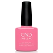 Obraz 1/3 -CND Shellac Holographic