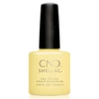 Obraz 1/4 -CND Shellac Jellied
