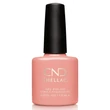 Obraz 1/4 -CND Shellac Salmon Run