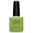 Obraz 1/3 -CND Shellac Meadow Glow #470