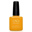 Obraz 1/3 -CND Shellac Among the Marigolds