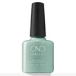 Obraz 1/4 -CND Shellac Morning Dew