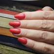 Obraz 2/2 -CND Shellac Hot Chilis