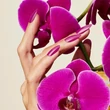 Obraz 3/3 -CND Vinylux Orchid Canopy #407